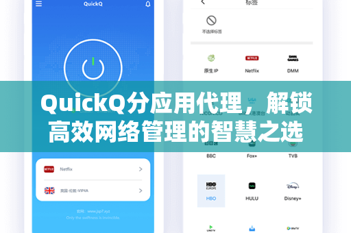 QuickQ分应用代理，解锁高效网络管理的智慧之选